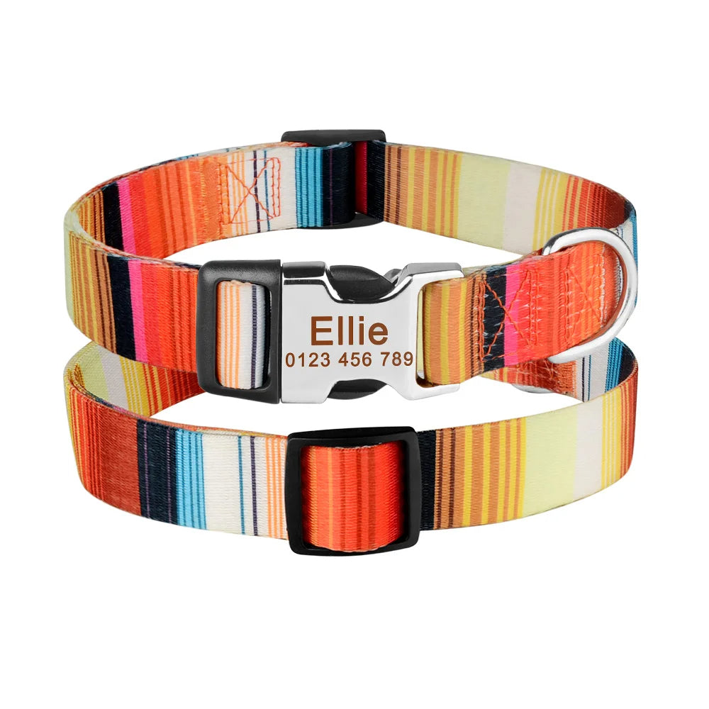 Collier chien personnalisé