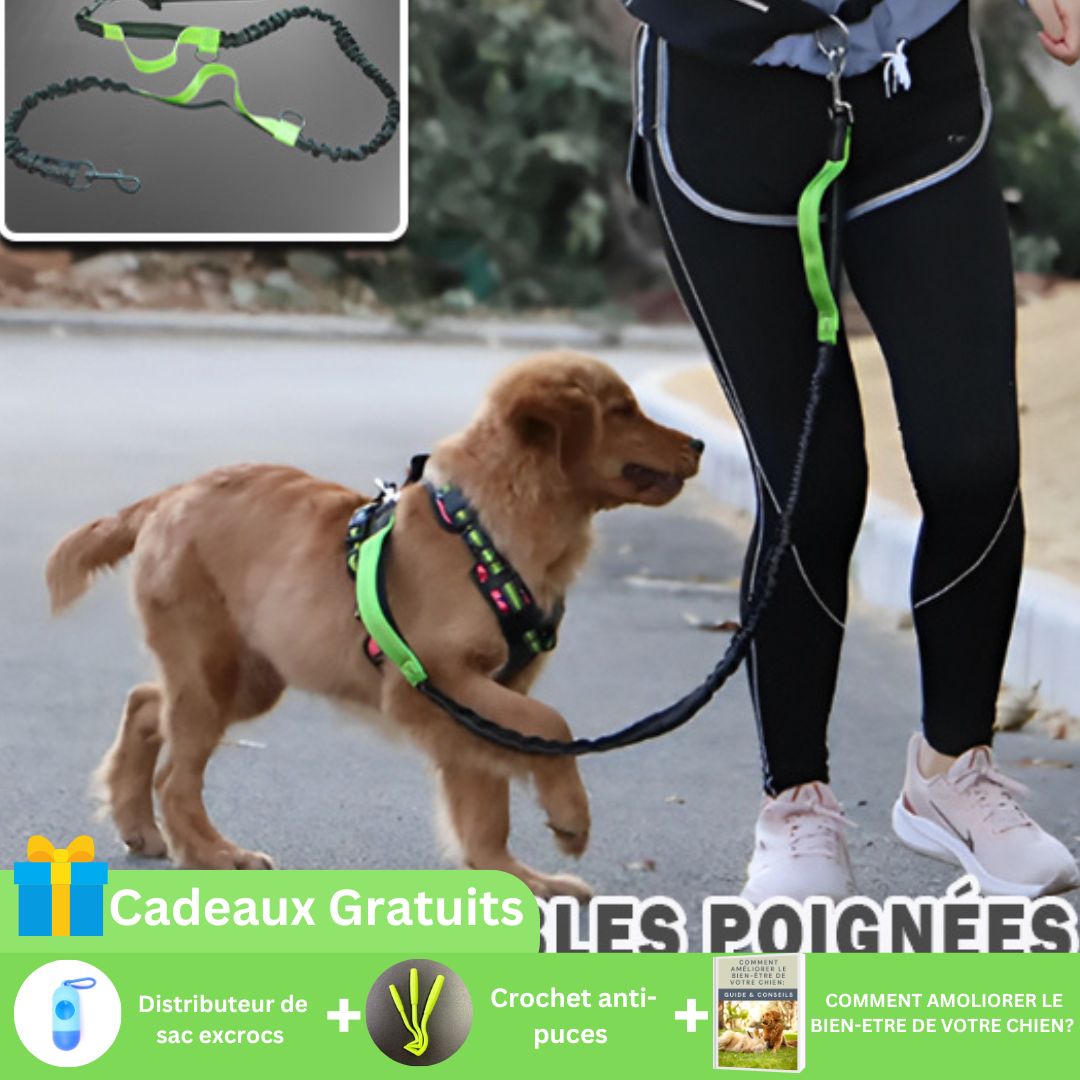 Ceinture de Footing avec Laisse Amortie™ - Universdeschiens