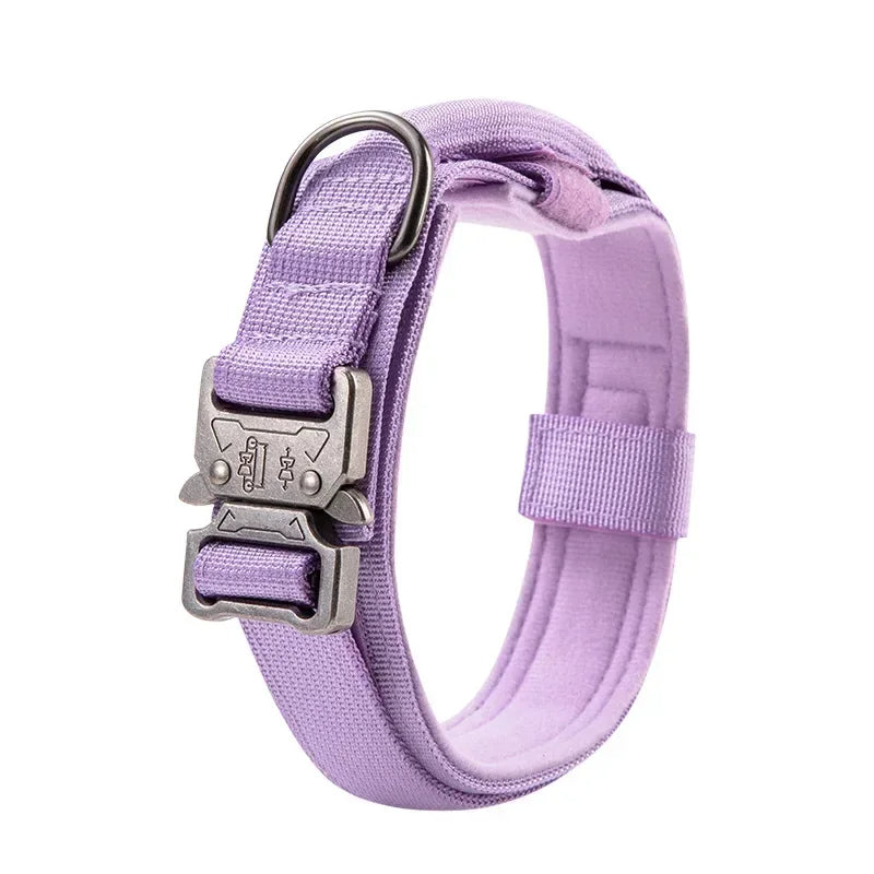 collier chien comfort rose