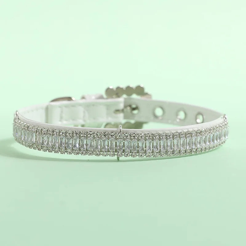collier chien couleur dore