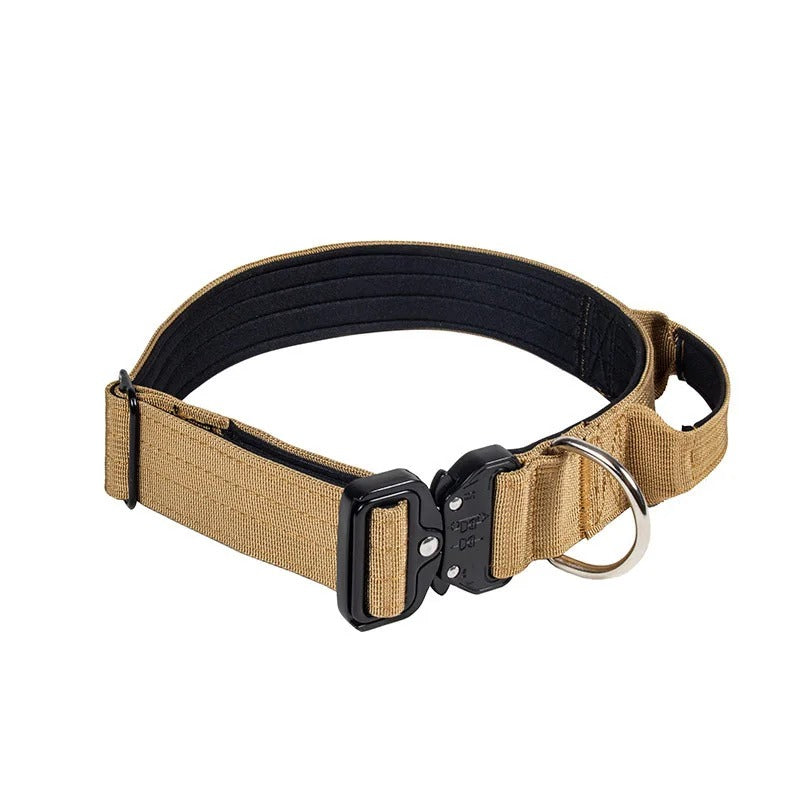 collier chien couleur kaki