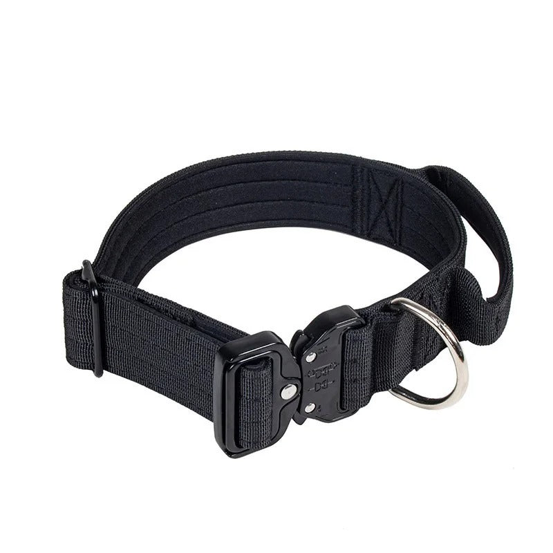 collier chien couleur noire