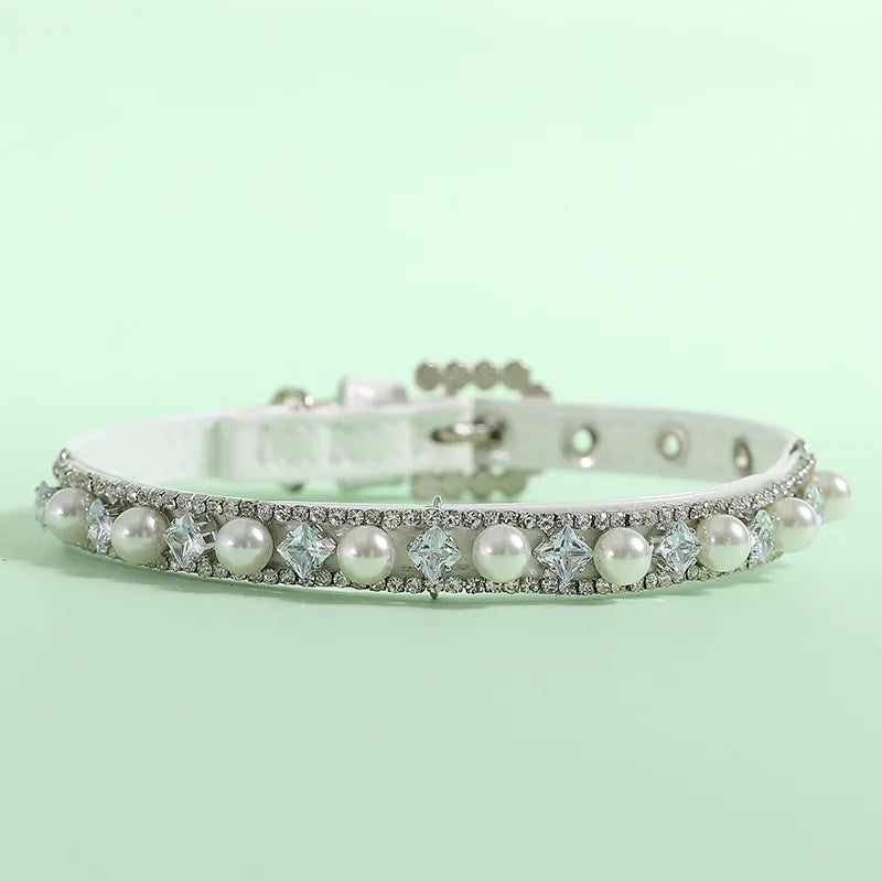 collier chien couleur or