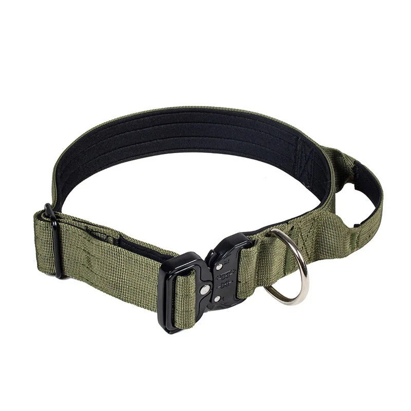collier chien couleur verte