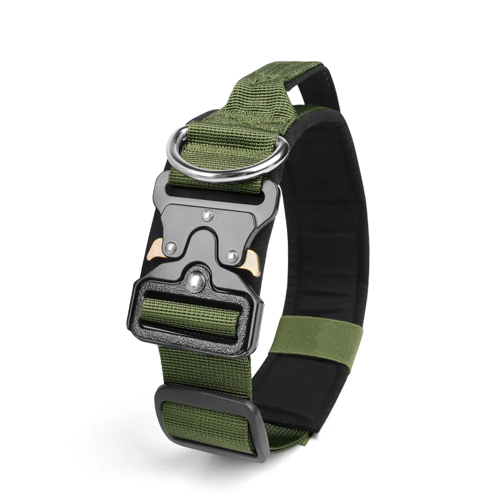 collier chien green vert