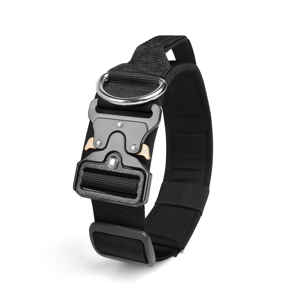 collier chien noir black