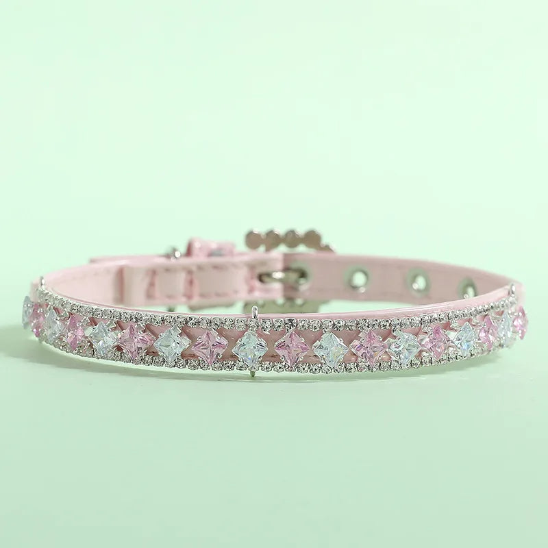 collier chien oculeur mauve
