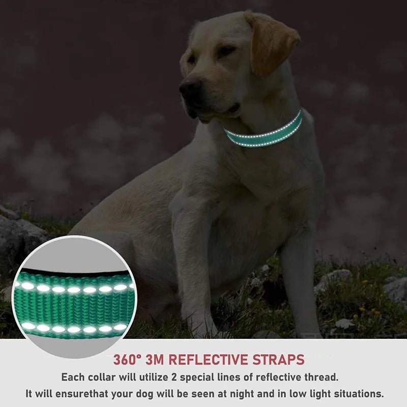 Collier de chien™ - Universdeschiens