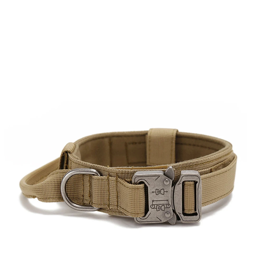 collier gros chien kaki