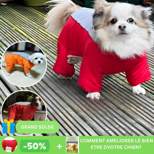 Manteau Chien™ - Universdeschiens